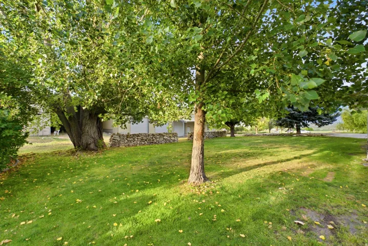 Expansive green lawn featuring mature trees