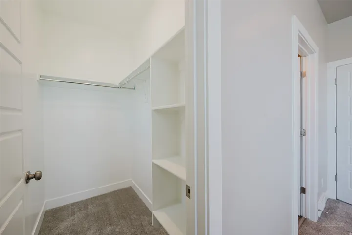 Walk-in closet featuring carpet flooring, built-in shelving, and a hanging rod
