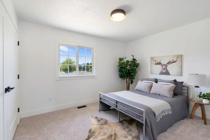 Bright bedroom featuring a large window with white muntins, carpeted flooring, and a flush-mount ceiling light