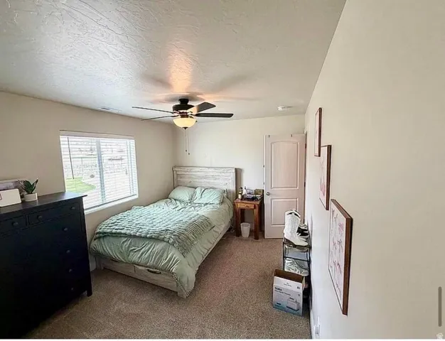 Carpeted room featuring a ceiling fan with integrated lighting, a window with horizontal blinds, and a white paneled door