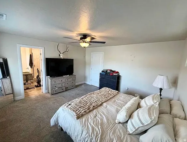 Carpeted room with a ceiling fan light fixture and neutral wall tones