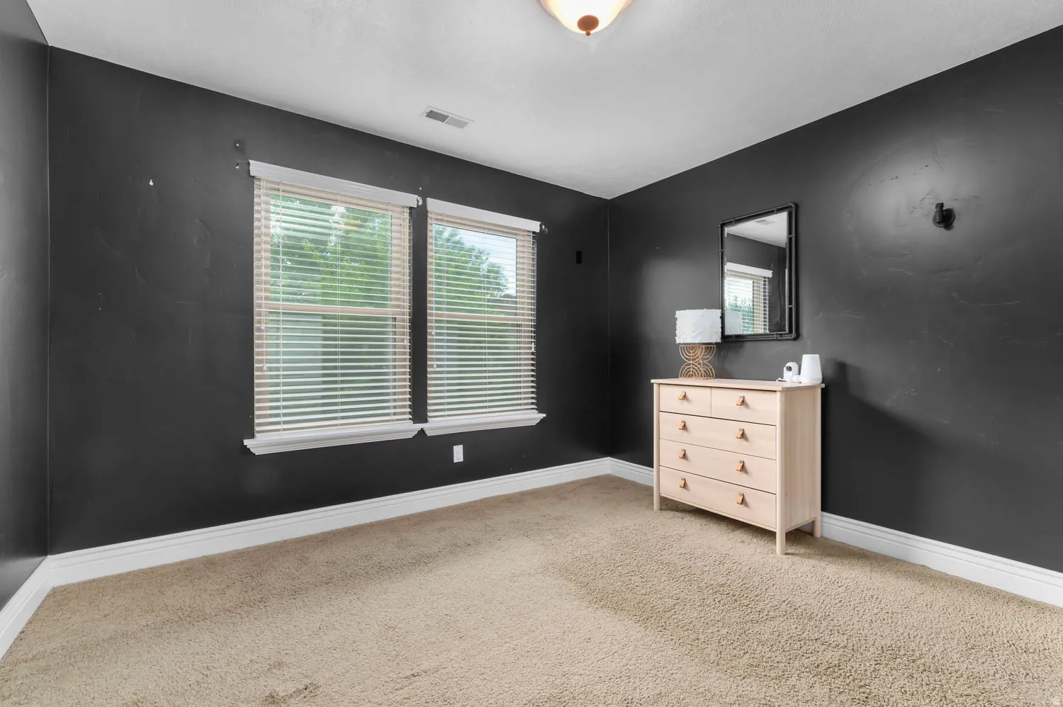 Carpeted interior room featuring dark-toned walls, white trim, and a ceiling-mounted light fixture