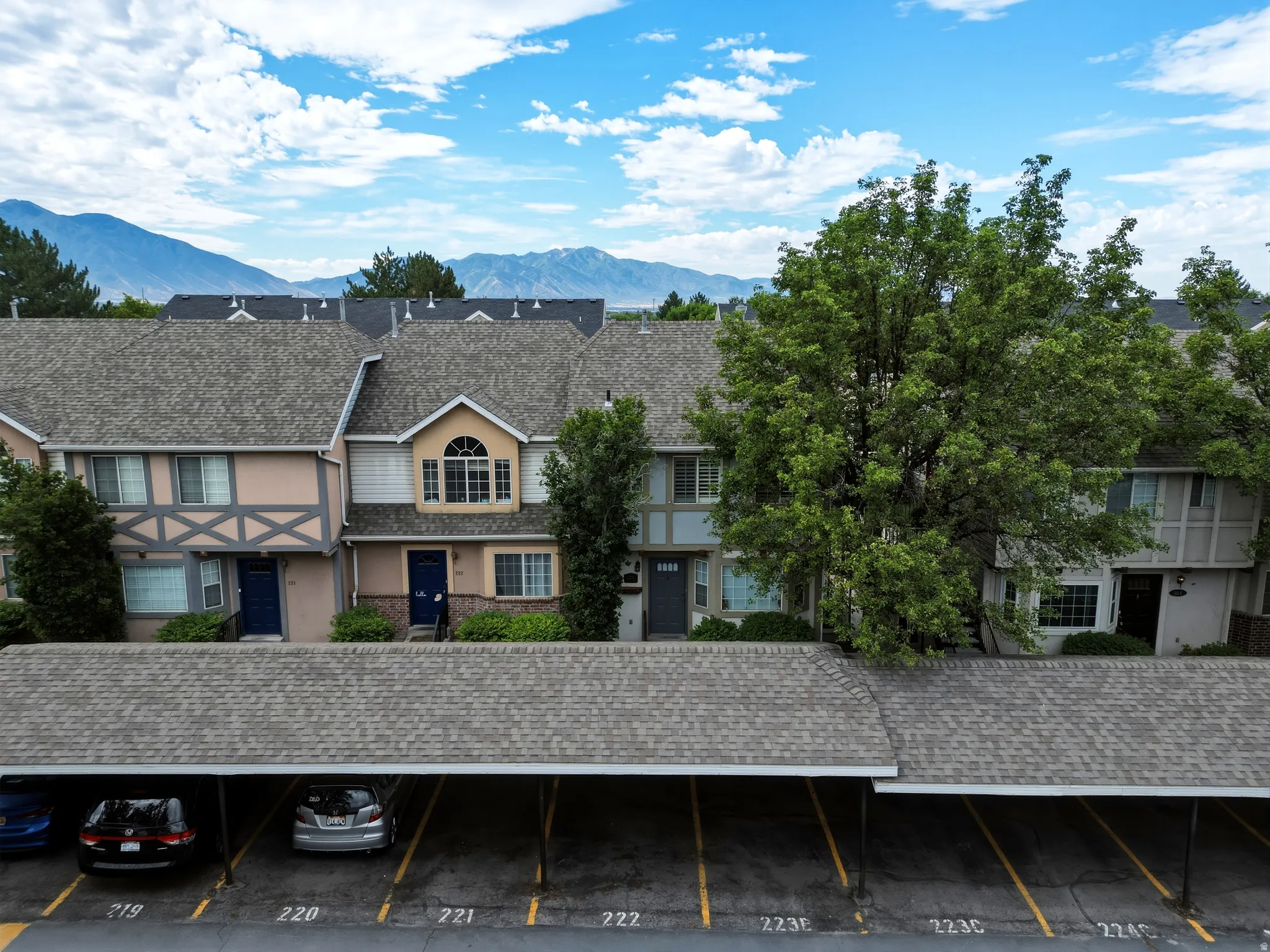 Townhome facades featuring varied architectural styles and pitched shingle roofs