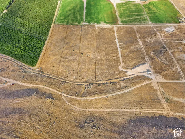 Expansive agricultural land featuring cultivated green fields and divided plots