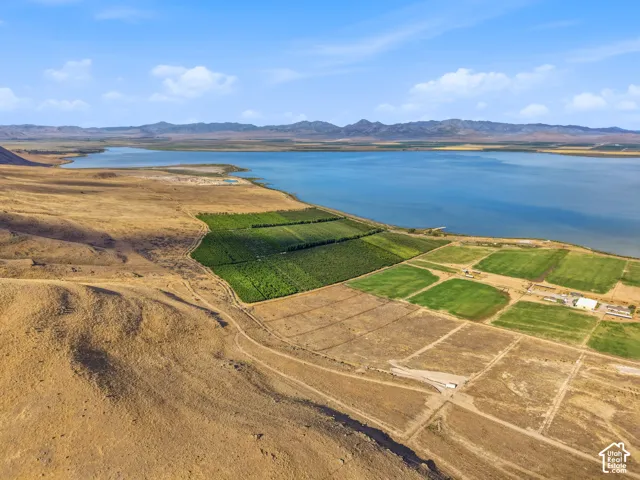 Expansive waterfront property featuring cultivated agricultural fields, a distinct green tree farm, and a natural shoreline