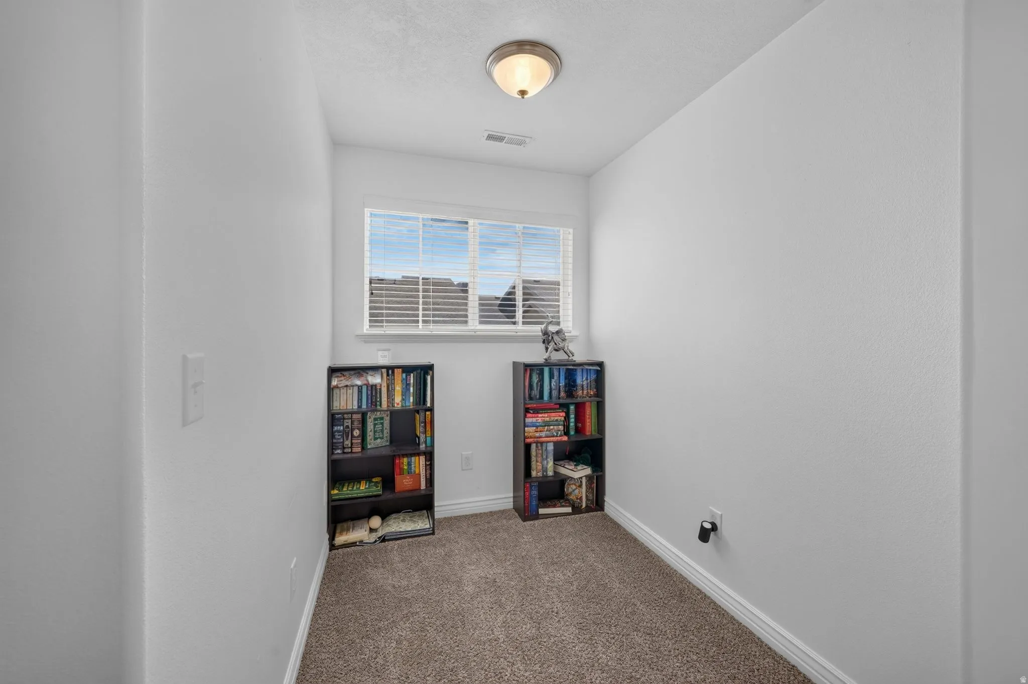 Bright room featuring a single window with horizontal blinds, neutral carpet flooring, and a ceiling-mounted light fixture