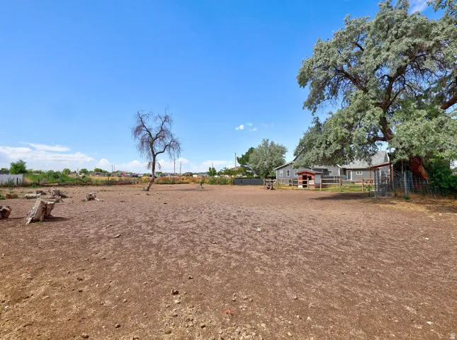 Expansive cleared lot featuring a large mature tree, a fenced enclosure, and a gray-sided structure