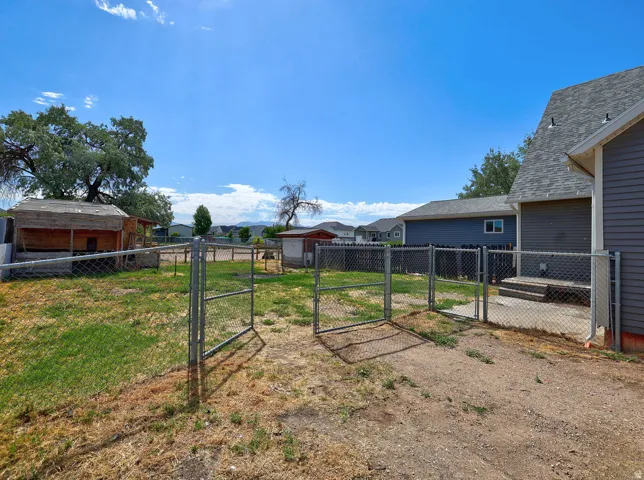 Fenced backyard with established trees, including a prominent mature deciduous tree