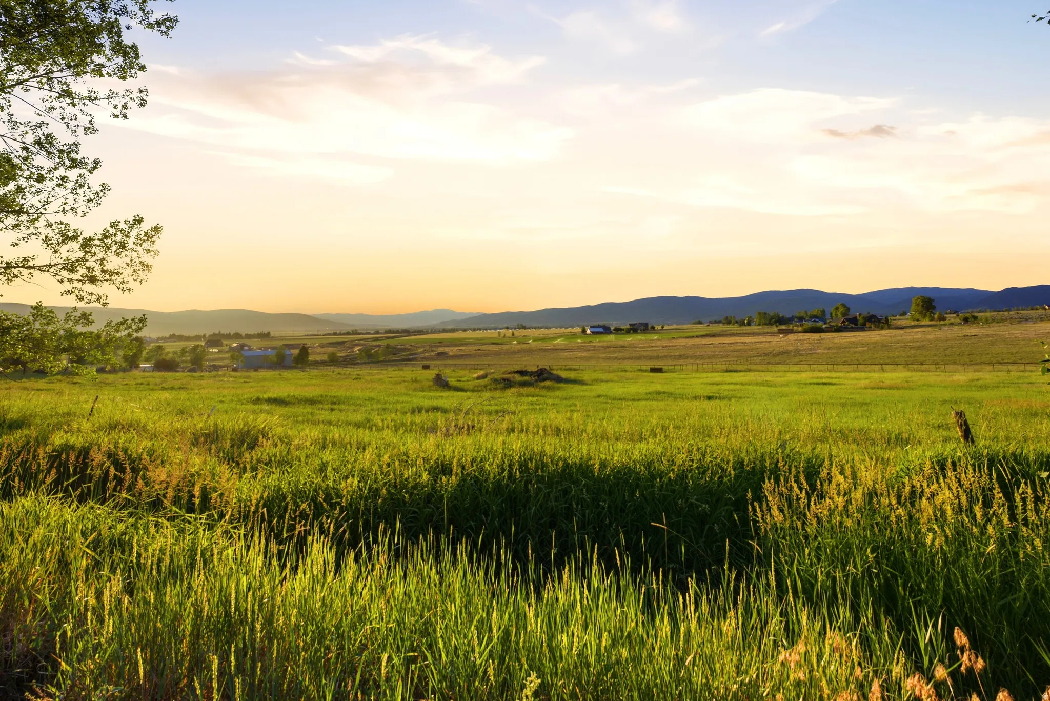 Expansive green fields featuring natural grasses and distant mountain ranges