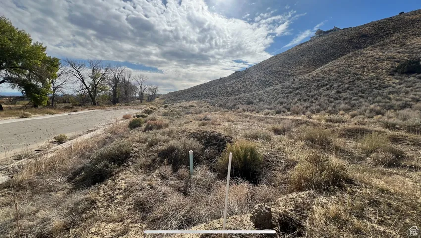 Expansive undeveloped land featuring natural terrain with diverse vegetation, an adjacent paved road, and distant mature trees