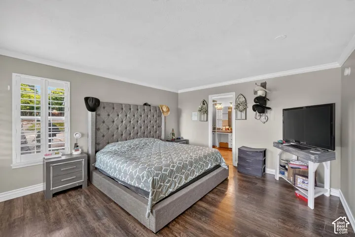 Spacious room featuring wood-finish flooring, light grey walls, and white crown molding