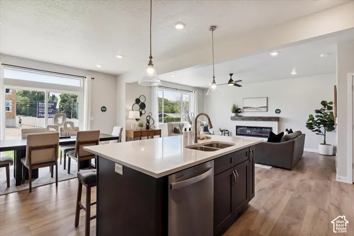 Kitchen island featuring a double-basin sink and stainless steel dishwasher