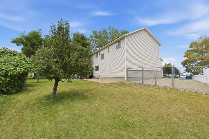 Expansive lawn area featuring a mature tree and established shrubbery
