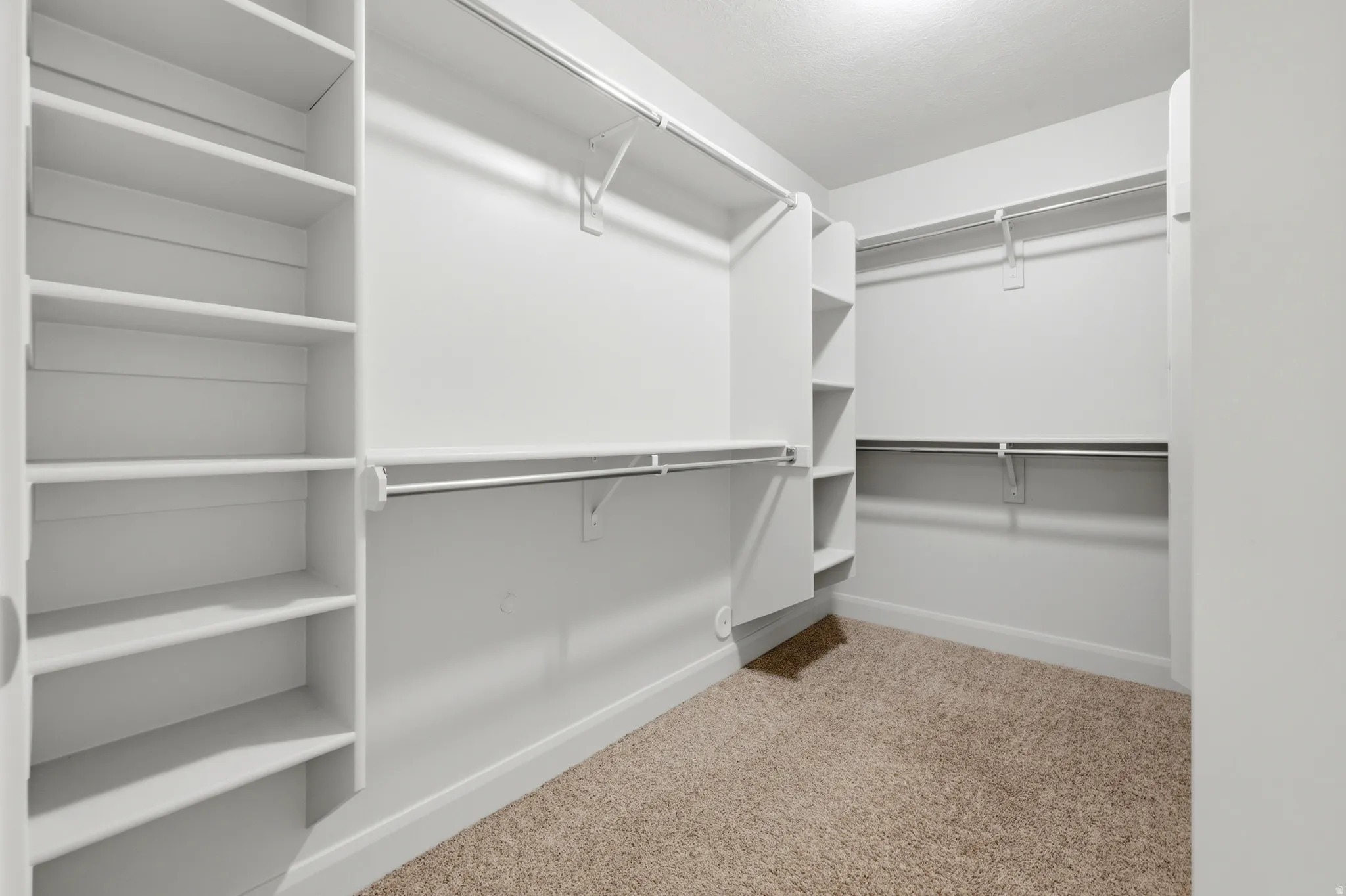 Walk-in closet featuring built-in shelving, multiple hanging rods, and neutral carpet flooring