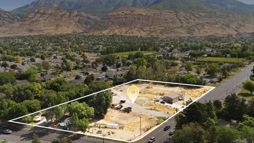 Expansive land parcel featuring a single-story dwelling, paved driveway, and established trees