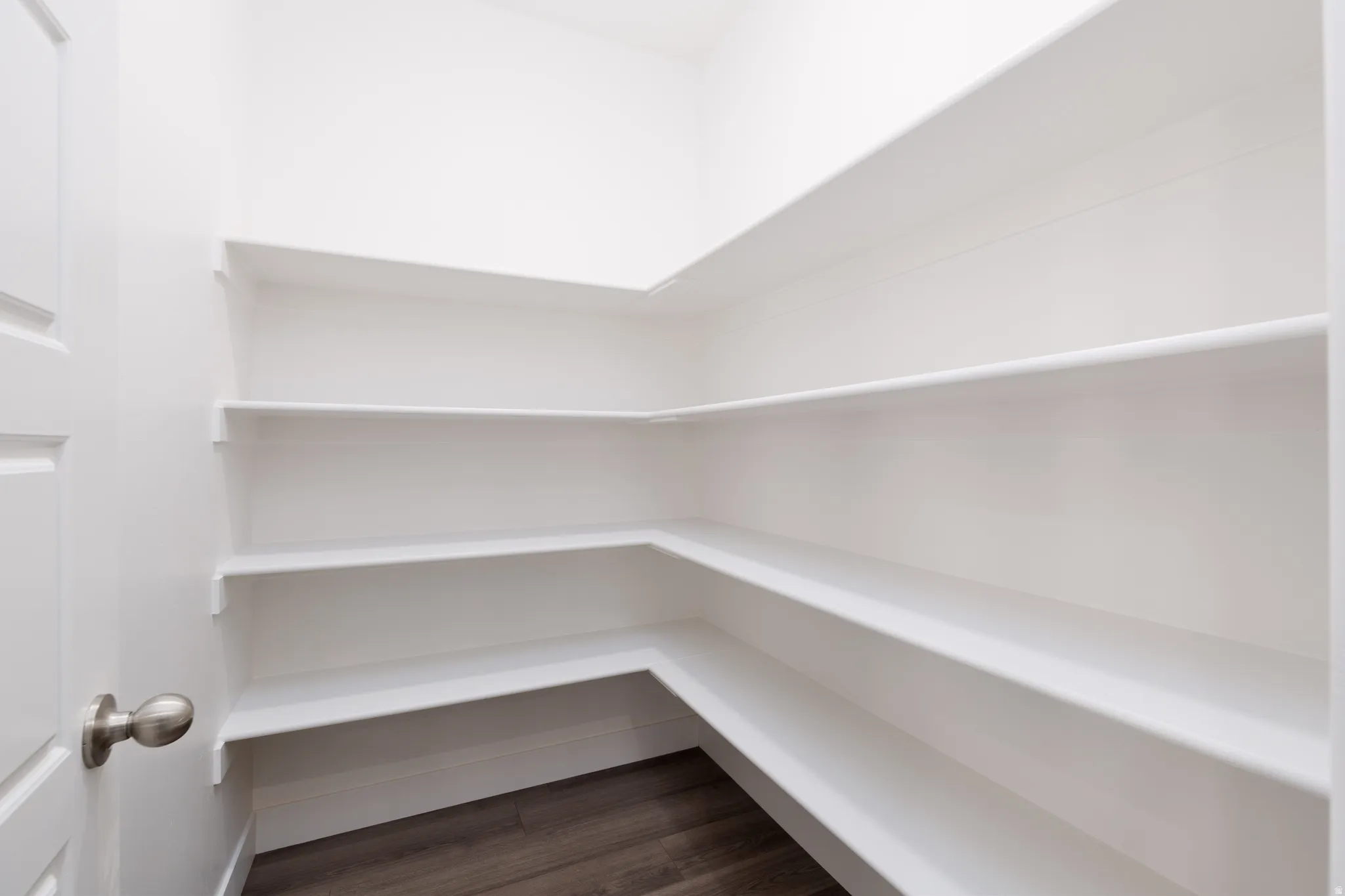 Walk-in pantry featuring white shelving, dark wood-finish flooring, and a paneled door with brushed nickel hardware