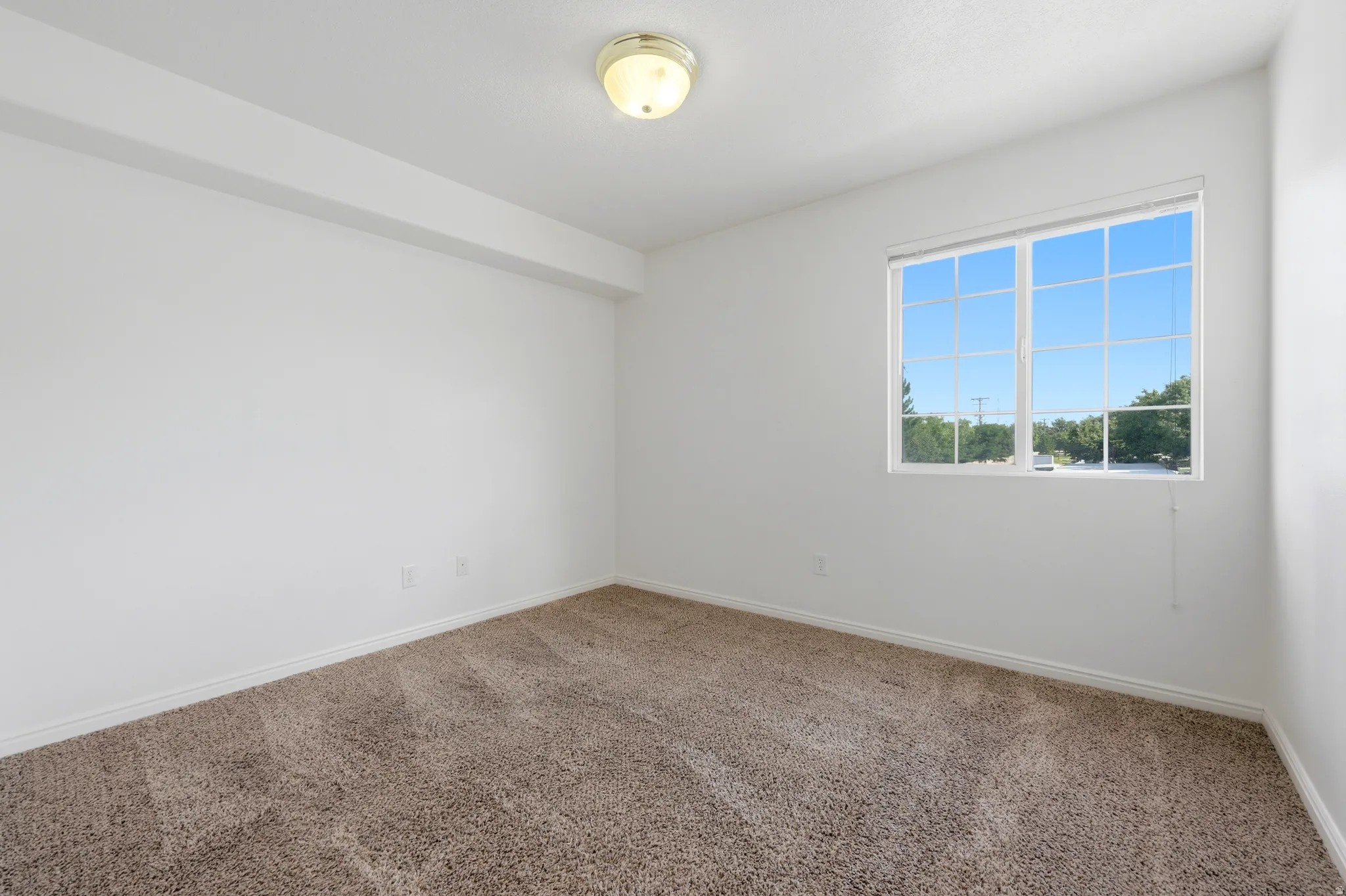 Spacious room featuring neutral carpet flooring, white walls, and a large window with white grid panes