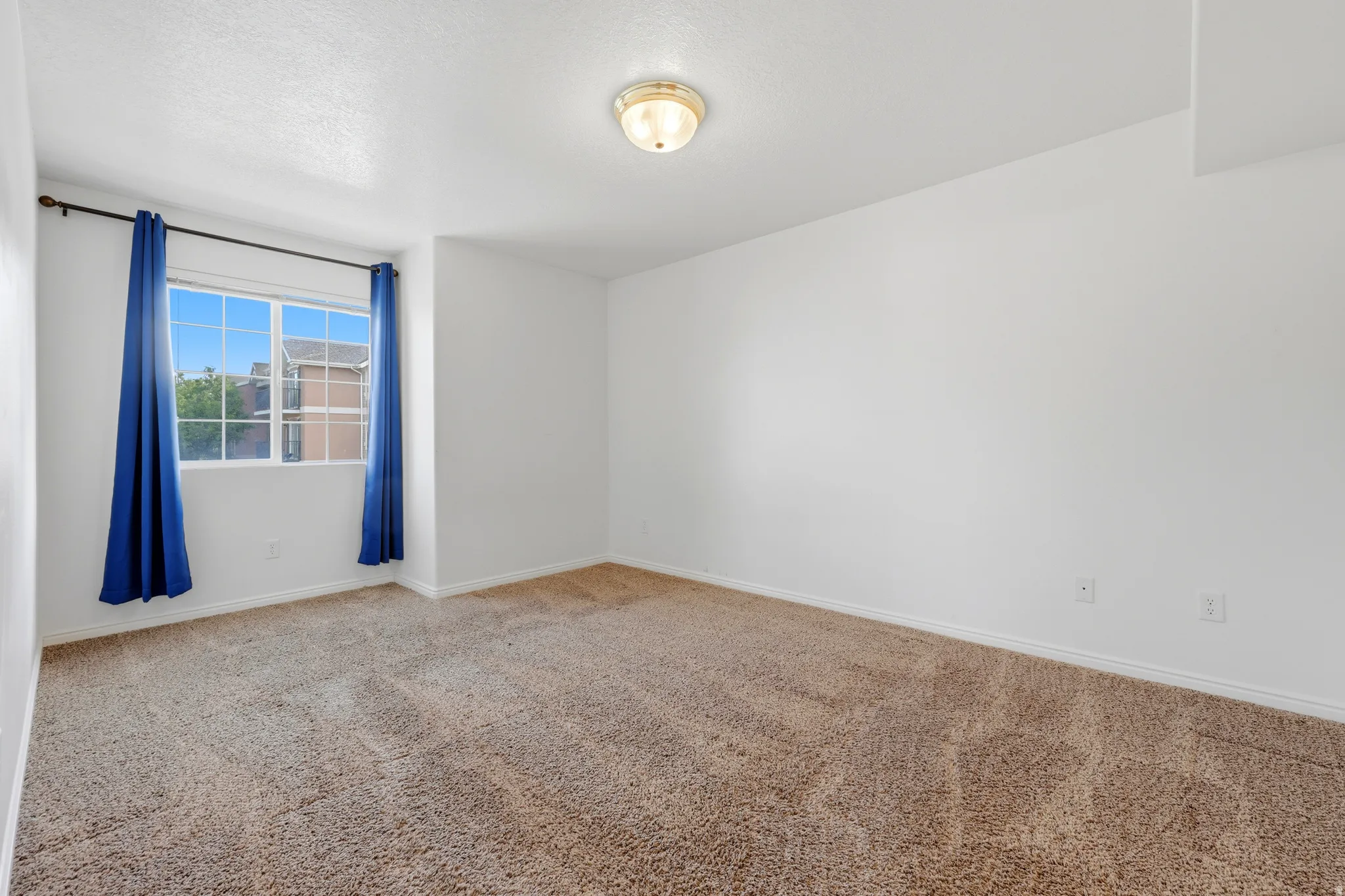 Carpeted interior room featuring a multi-pane window, white walls, and a ceiling-mounted light fixture