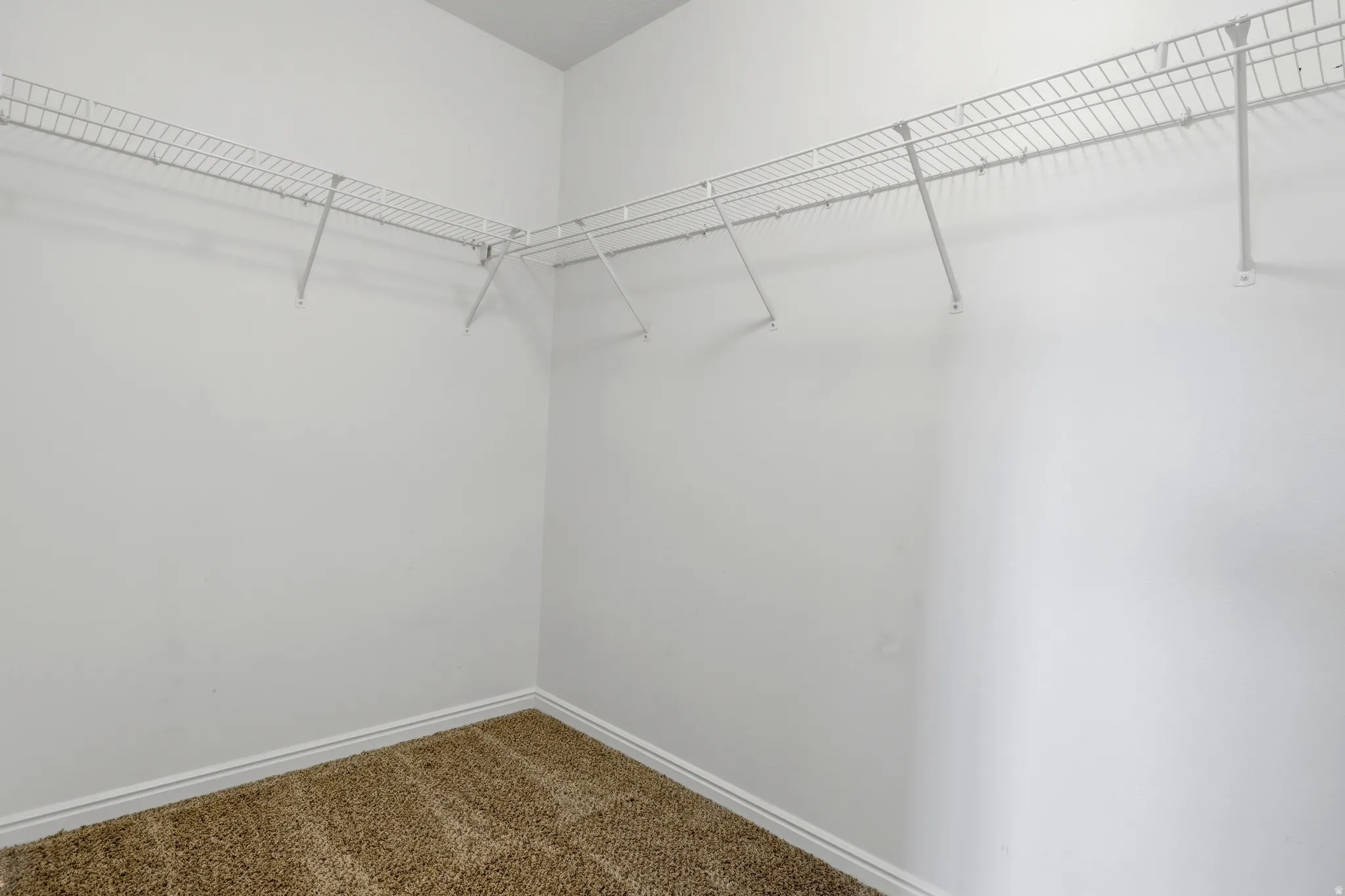 Walk-in closet featuring wire shelving, white walls, white baseboards, and carpet flooring