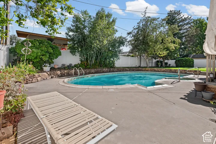 Outdoor swimming pool featuring a concrete surround and integrated steps