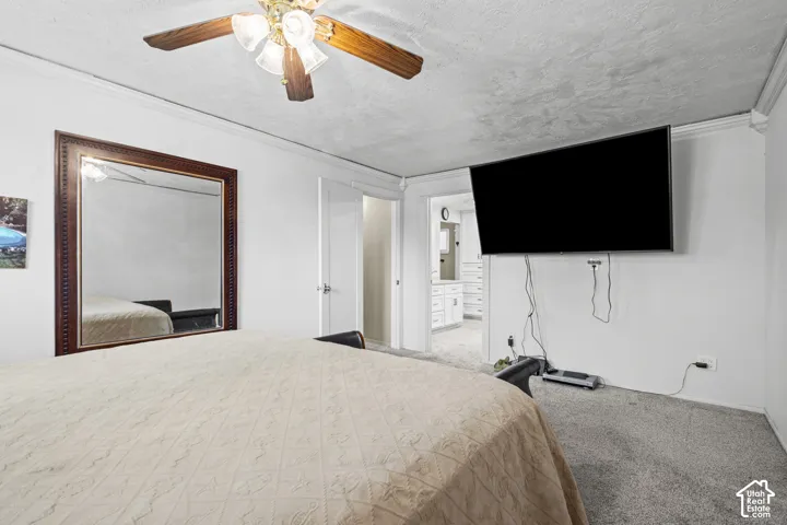 Bedroom featuring wall-to-wall carpeting, crown molding, and a ceiling fan