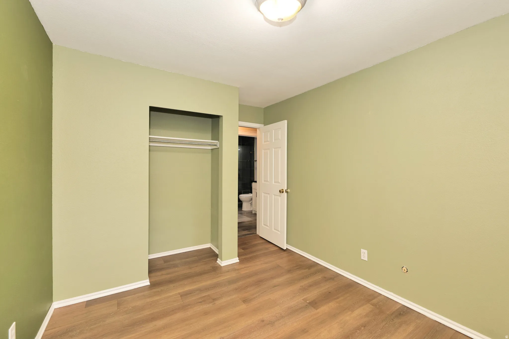 Room featuring wood-finish flooring, a built-in closet with hanging rod, and a ceiling-mounted light fixture
