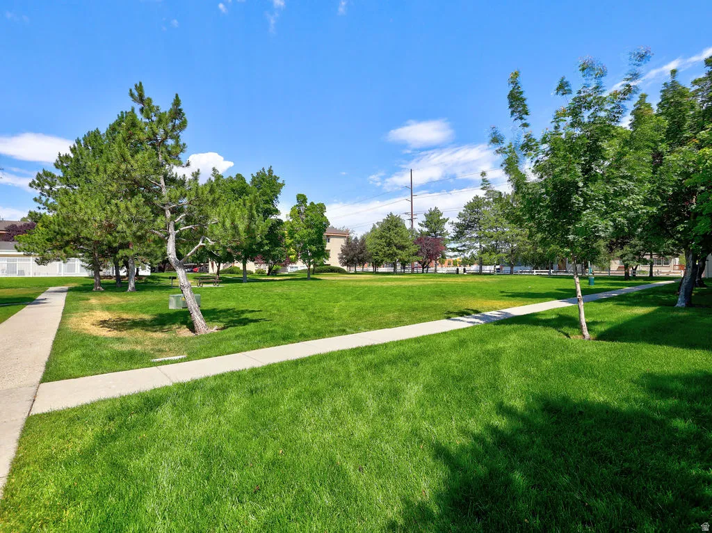 Expansive green space featuring mature trees and a paved walkway