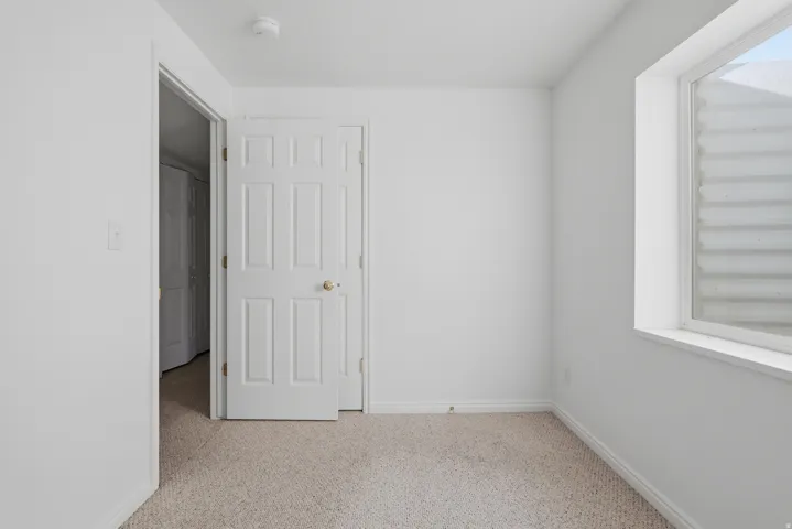 Textured carpet flooring with white trim