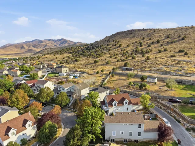 Scenic hillside setting with mature landscaping and established trees throughout the neighborhood