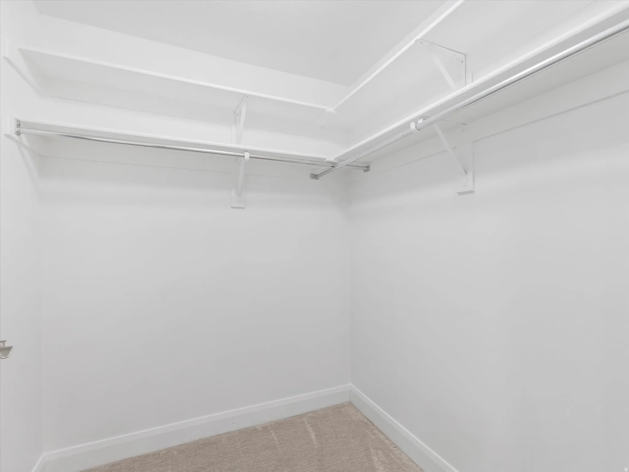 Walk-in closet featuring white walls, white shelving, metal hanging rods, and carpeting
