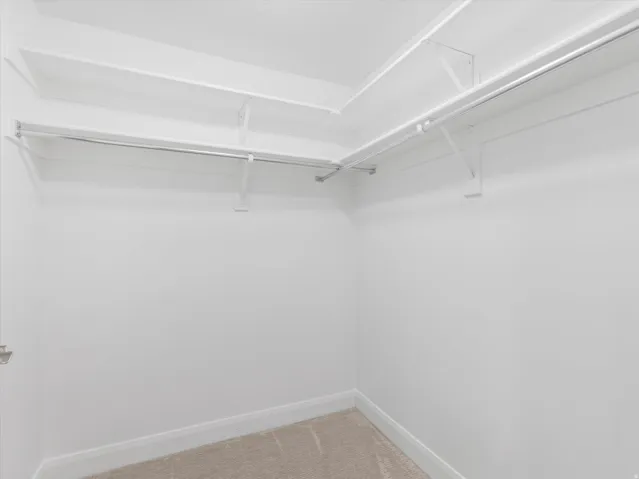 Walk-in closet featuring white walls, white shelving, metal hanging rods, and carpeting