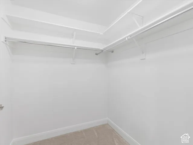 Walk-in closet featuring white walls, white shelving, metal hanging rods, and carpeting