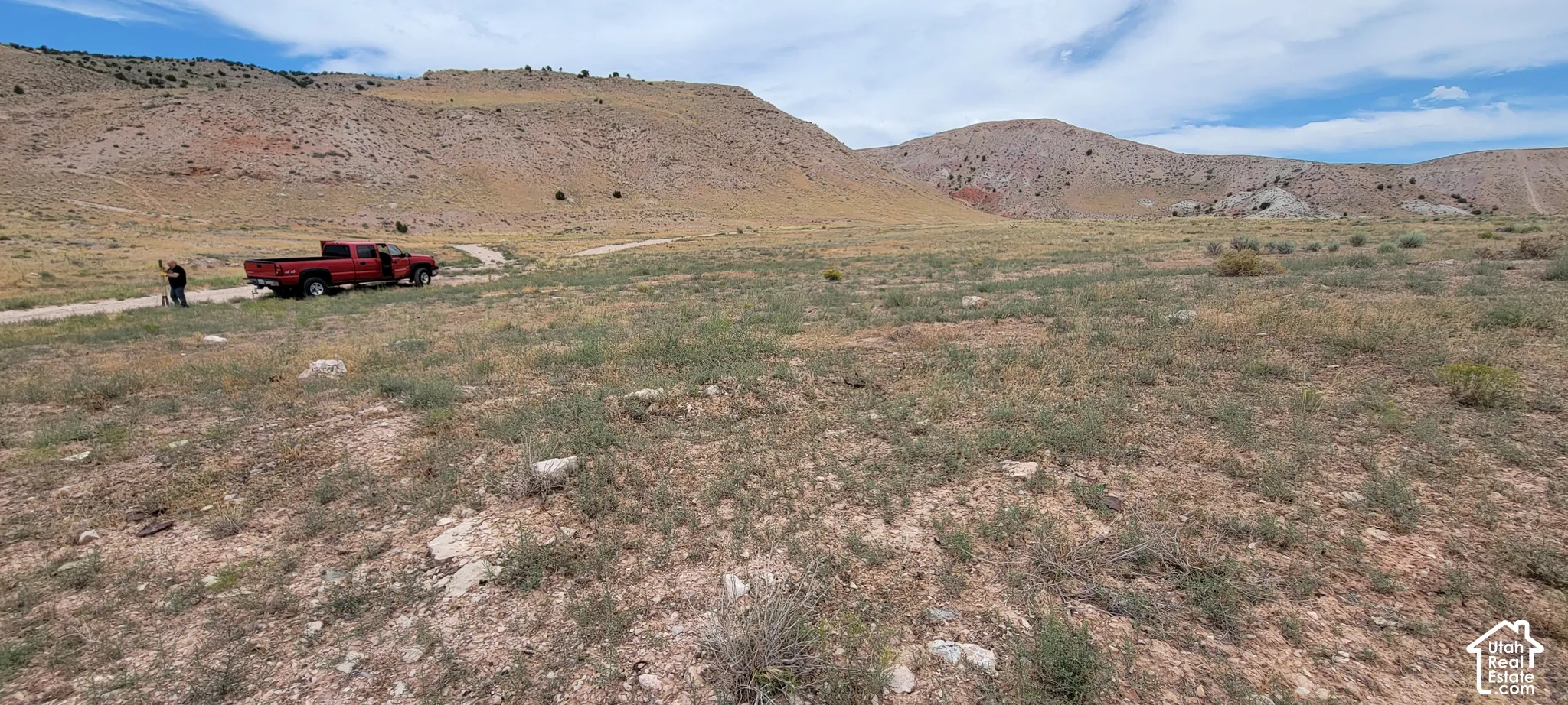 Expansive open land featuring natural desert vegetation