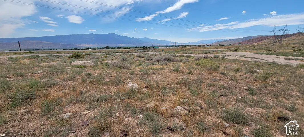 Expansive undeveloped land featuring natural desert vegetation, a distant mountain range, and a clear blue sky
