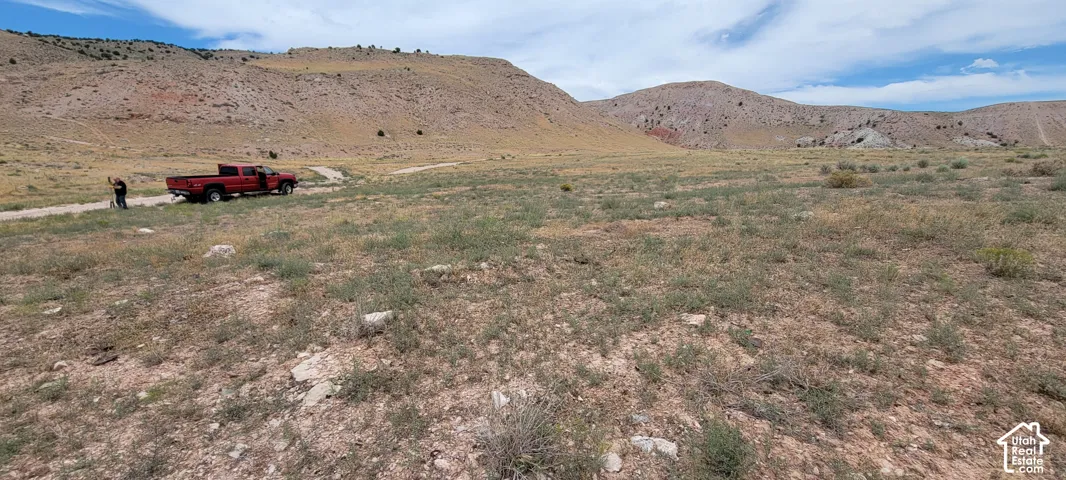 Expansive open land featuring natural desert vegetation