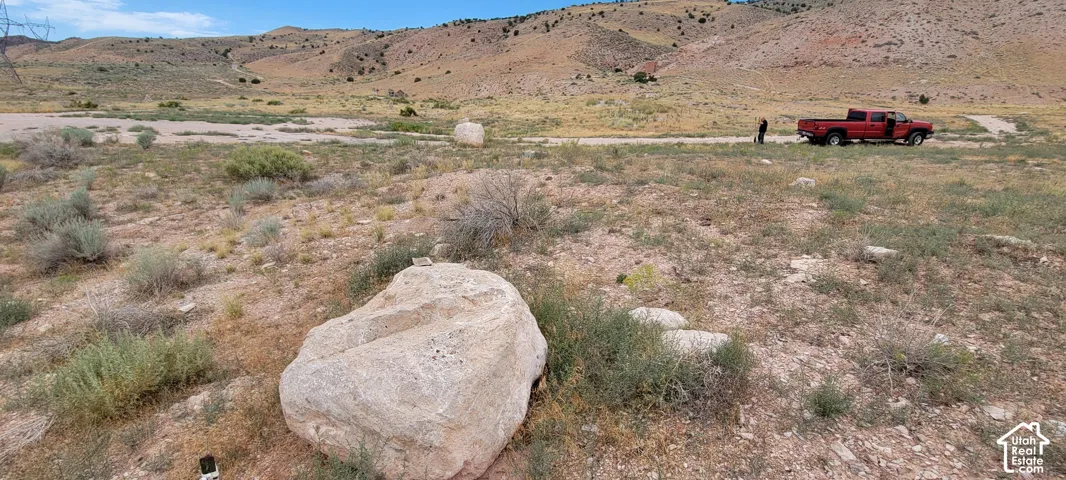 Expansive natural terrain featuring a dirt road and distant hills