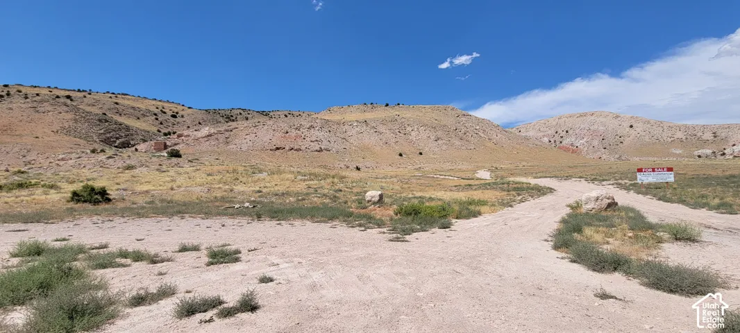 Expansive undeveloped land with a dirt road entrance