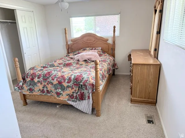 Carpeted room featuring a ceiling fan, a window with blinds, and a bi-fold closet door