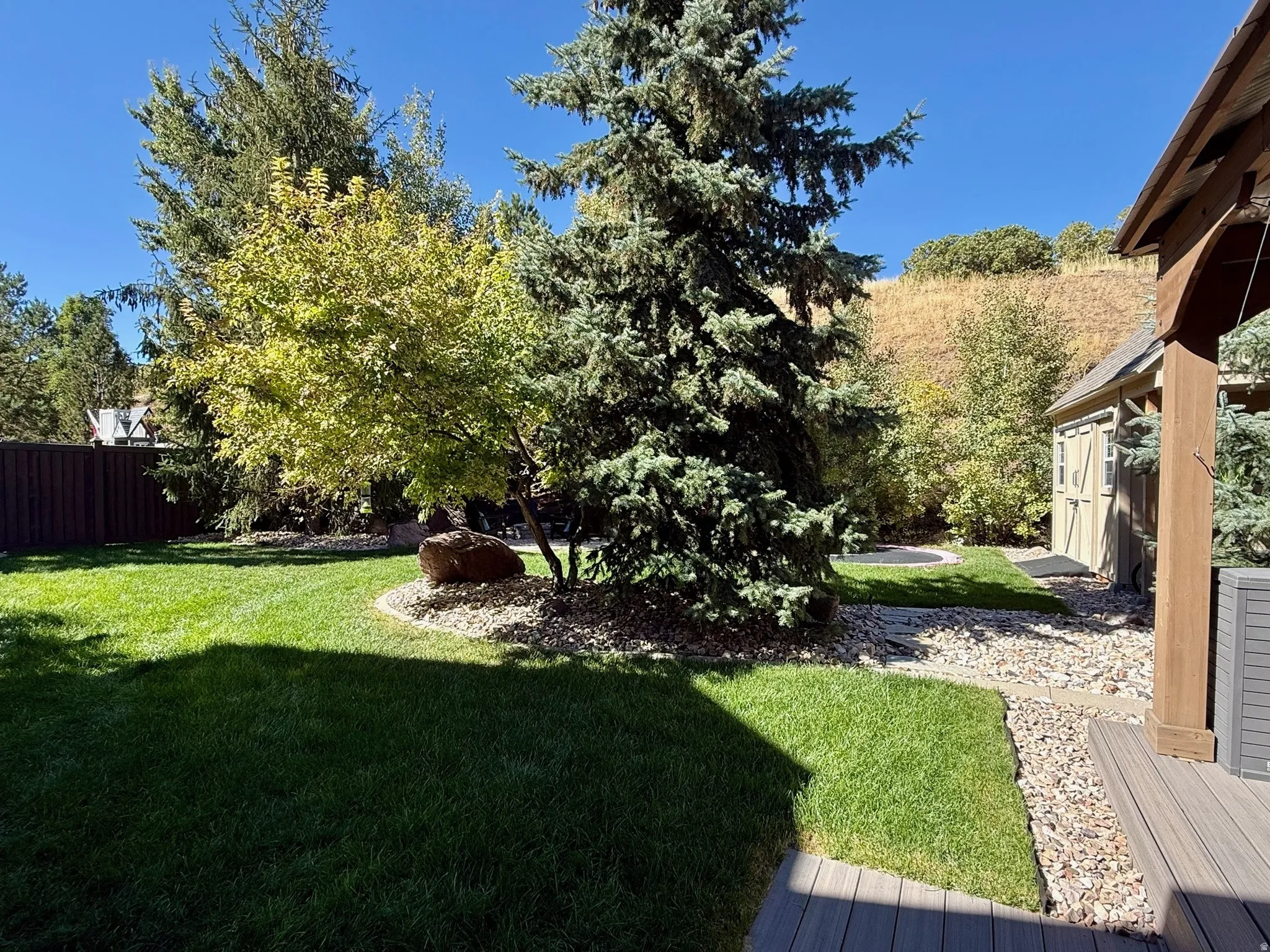 Expansive backyard featuring a manicured lawn, established evergreens, and a dedicated storage shed