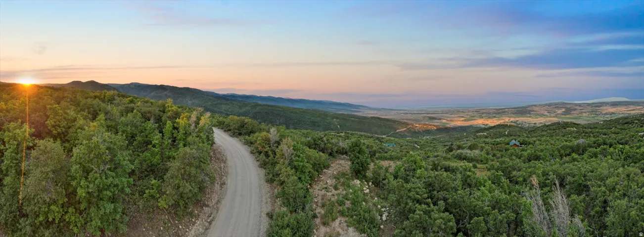 Expansive natural landscape with a winding dirt road through lush green foliage
