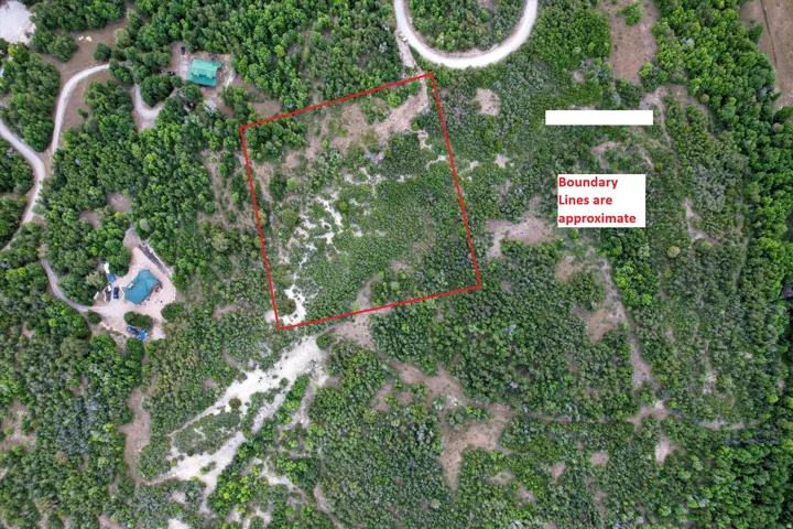 Expansive land parcel featuring dense tree coverage and varied topography