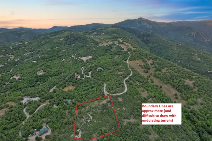 Expansive mountain terrain featuring diverse tree cover and scattered clearings