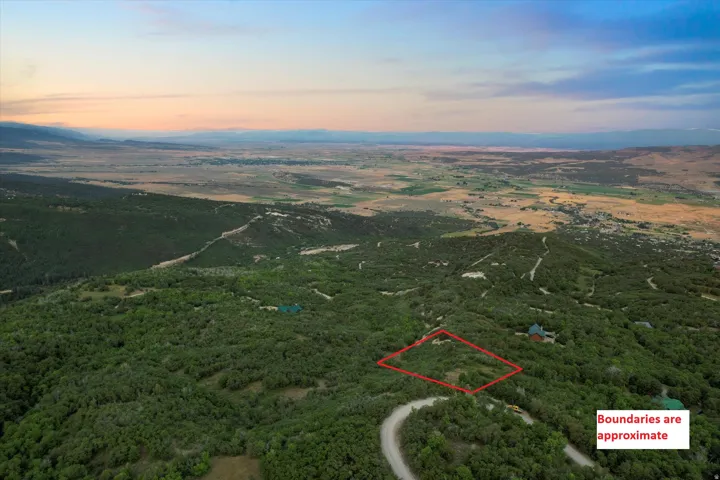 Expansive property featuring a cleared building site, surrounding mature trees, and a winding gravel road