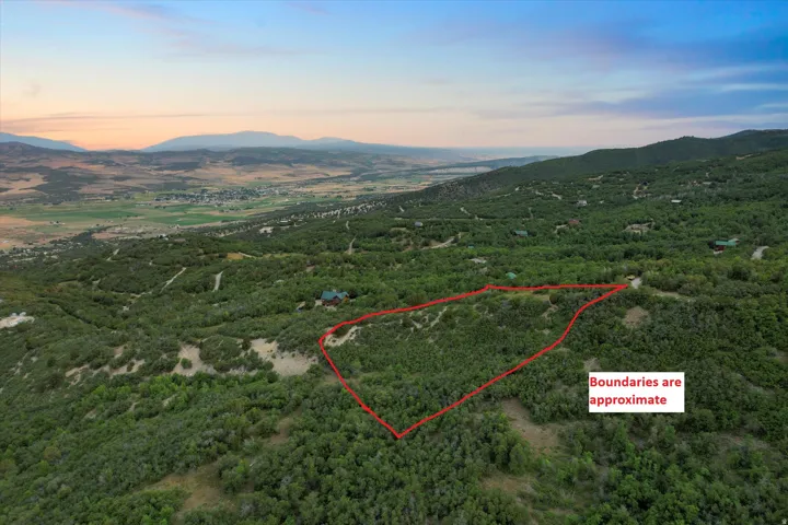 Expansive parcel featuring mature trees and varied topography