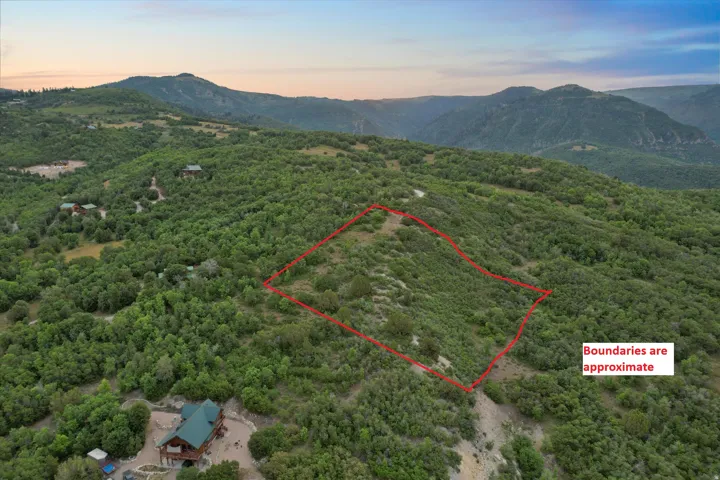 Expansive undeveloped lot featuring diverse natural vegetation and a mountainous backdrop