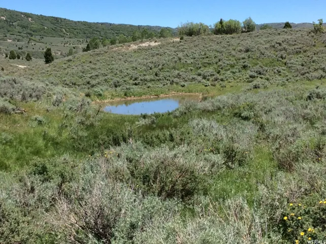 Natural landscape featuring a annual Spring pond