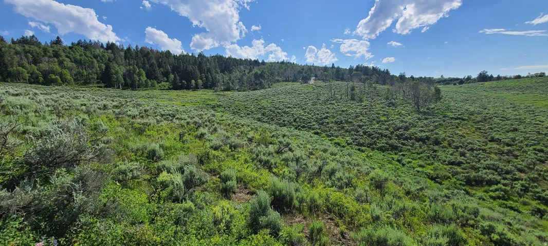 Eastern propertly line facing Southwest with view of the base of Soldier Summit Estates