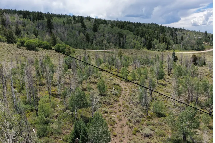 2016 - 2019 drought took many Quaking Aspen. Now make in a great and you quaky return.