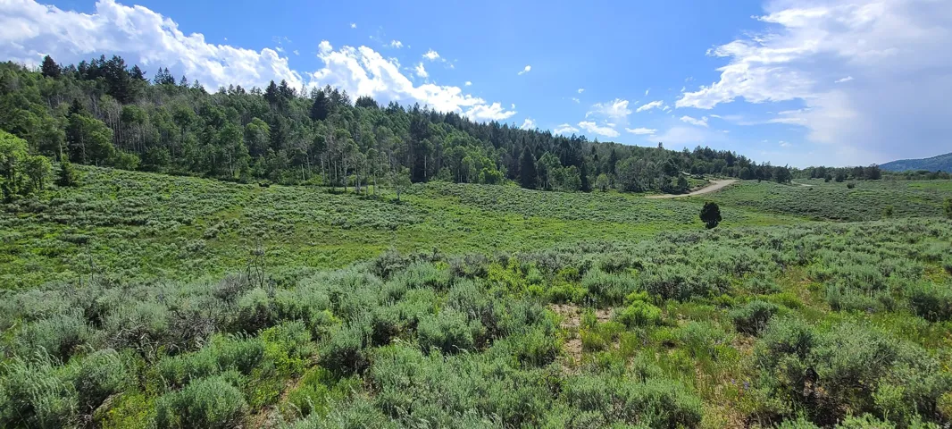 View to South of your lot.