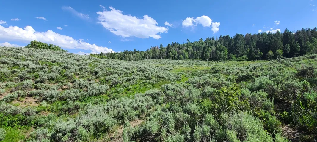 View from northwest corner facing southeast.